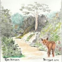 Johnson Robb - Pennypot Lane in der Gruppe CD bei Bengans Skivbutik AB (5556375)