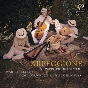 Martin Zeller - Schubert: Arpeggione - A Forgotten in der Gruppe CD / Nyheter bei Bengans Skivbutik AB (5557053)