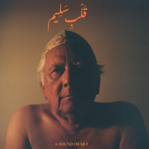 Jaubi - A Sound Heart in der Gruppe CD / Jazz bei Bengans Skivbutik AB (5557247)