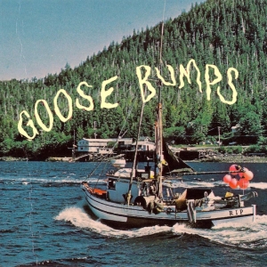 Boyscott - Goose Bumps (Green & Blonde Swirl V in der Gruppe UNSERE TIPPS / Freitagsveröffentlichungen / Fredag den 30:e augusti 2024 bei Bengans Skivbutik AB (5557918)