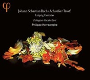 Bach J S - Ach Susser Trost - Leipzig Cantatas in der Gruppe Externt_Lager / Naxoslager bei Bengans Skivbutik AB (555849)