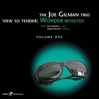 Joe Gilman - View So Tender: Wonder Revisited Vo in der Gruppe CD / Jazz bei Bengans Skivbutik AB (5559087)