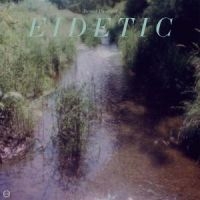 Pioulard Benoit - Eidetic in der Gruppe CD / Pop-Rock bei Bengans Skivbutik AB (5559362)