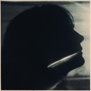 Sarah Blasko - I Just Need To Conquer This Mo in der Gruppe CD / Pop-Rock bei Bengans Skivbutik AB (5559601)