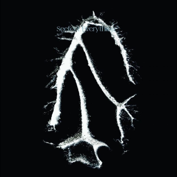 Seefeel - Everything Squared in der Gruppe UNSERE TIPPS / Freitagsveröffentlichungen / Fredag den 30:e augusti 2024 bei Bengans Skivbutik AB (5559905)
