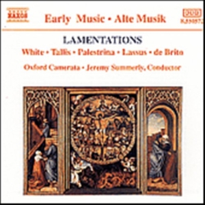 Various - Lamentations in der Gruppe Externt_Lager / Naxoslager bei Bengans Skivbutik AB (556034)