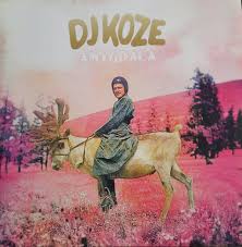 Dj Koze - Amygdala in der Gruppe VINYL / Nyheter / Elektroniskt,Pop-Rock bei Bengans Skivbutik AB (5560449)