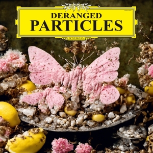 Felix Henkelhausen - Deranged Particles in der Gruppe Övrigt /  bei Bengans Skivbutik AB (5560471)