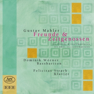 Mahler/Diepenbrock/Foerster/Rock/+ - Gustav Mahler - Friends And Contemp in der Gruppe CD bei Bengans Skivbutik AB (5560725)