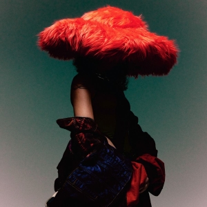 Carlita - Sentimental (Red Vinyl) in der Gruppe UNSERE TIPPS / Freitagsveröffentlichungen / Freitag der 15 November 2024 bei Bengans Skivbutik AB (5560989)