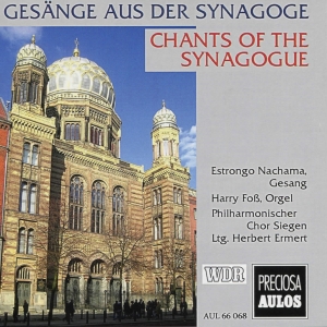 Louis Lewandowski Salomon Sulzer - Chants Of The Synagogue in der Gruppe CD / Klassiskt bei Bengans Skivbutik AB (5561042)