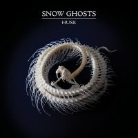 Snow Ghosts - Husk (Clear Vinyl) in der Gruppe VINYL / Pop-Rock bei Bengans Skivbutik AB (5561048)