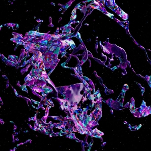 Hauff Helena - Living With Ladybirds in der Gruppe VINYL / Pop-Rock bei Bengans Skivbutik AB (5561062)