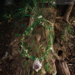 Pharmakon - Maggot Mass in der Gruppe UNSERE TIPPS / Freitagsveröffentlichungen / Fredag den 4:e oktober 2024 bei Bengans Skivbutik AB (5561597)