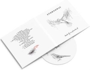 Stornoway - Best Of: Unplucked in der Gruppe UNSERE TIPPS / Freitagsveröffentlichungen / Freitag, den 29 November 2024 bei Bengans Skivbutik AB (5562079)