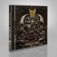 Defeated Sanity - Chronicles Of Lunacy in der Gruppe CD / Hårdrock bei Bengans Skivbutik AB (5562094)