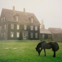 Lutalo - The Academy (Ltd Meadow Green Vinyl in der Gruppe UNSERE TIPPS / Freitagsveröffentlichungen / Fredag den 20:e september 2024 bei Bengans Skivbutik AB (5562321)