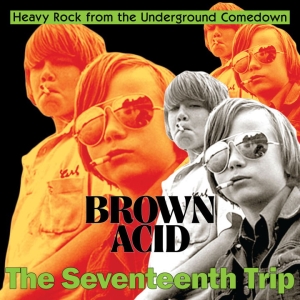 Various Artists - Brown Acid: The 17Th Trip in der Gruppe VINYL / Pop-Rock bei Bengans Skivbutik AB (5562724)