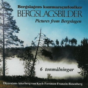 Bergslagens Kammarsymfoniker - Bergslagsbilder in der Gruppe CD bei Bengans Skivbutik AB (556293)