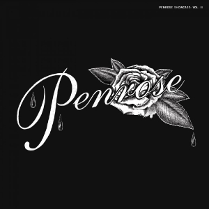 Various Artists - Penrose Showcase, Vol. Ii in der Gruppe UNSERE TIPPS / Freitagsveröffentlichungen / Fredag den 20:e september 2024 bei Bengans Skivbutik AB (5563171)