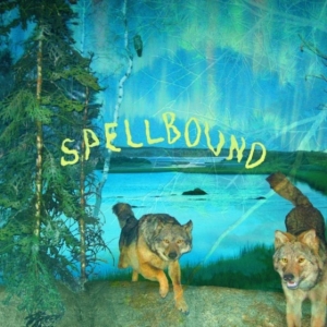 Boyscott - Spellbound in der Gruppe UNSERE TIPPS / Freitagsveröffentlichungen / Fredag den 18:e oktober 2024 bei Bengans Skivbutik AB (5563665)