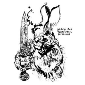 Black Pus - Terrestrial Seethings in der Gruppe UNSERE TIPPS / Freitagsveröffentlichungen / Fredag den 18:e oktober 2024 bei Bengans Skivbutik AB (5563690)