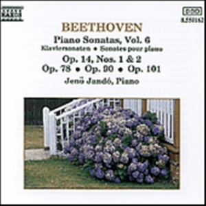 Beethoven Ludwig Van - Piano Sonatas Vol 6 in der Gruppe CD bei Bengans Skivbutik AB (556370)