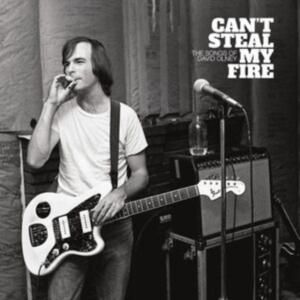 Various Artists - Can't Steal My Fire: The Songs Of D in der Gruppe UNSERE TIPPS / Freitagsveröffentlichungen /  bei Bengans Skivbutik AB (5563961)