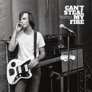Various Artists - Can't Steal My Fire: The Songs Of D in der Gruppe UNSERE TIPPS / Freitagsveröffentlichungen / bei Bengans Skivbutik AB (5563961)