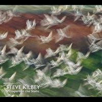Kilbey Steve - Whispers In The Static in der Gruppe CD bei Bengans Skivbutik AB (5564109)