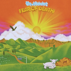 Heidecker Tim - Fear Of Death (Golden Sunset Vinyl) in der Gruppe UNSERE TIPPS / Freitagsveröffentlichungen / bei Bengans Skivbutik AB (5564376)