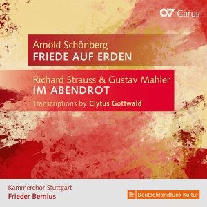 Kammerchor Stuttgart Frieder Berni - Strauss & Mahler: Transcriptions By in der Gruppe CD bei Bengans Skivbutik AB (5565216)