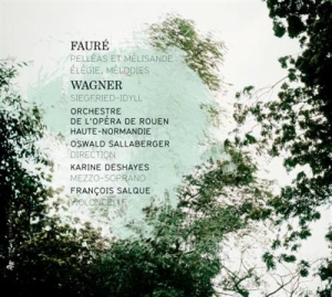 Faure - Wagner - Pelleas Et Melisande in der Gruppe Externt_Lager / Naxoslager bei Bengans Skivbutik AB (556530)