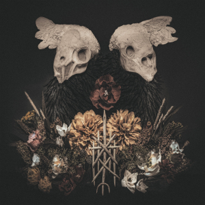 Black Birch - Black Birch in der Gruppe VINYL / Pop-Rock bei Bengans Skivbutik AB (5565318)
