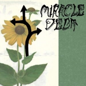 Miracle Debt - Under The Shadow in der Gruppe UNSERE TIPPS / Freitagsveröffentlichungen / Freitag den 8 November 2024 bei Bengans Skivbutik AB (5565841)