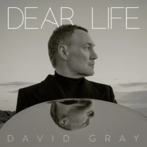 David Gray - Dear Life (Ltd Sea Weed Green Vinyl) 2LP in der Gruppe UNSERE TIPPS / Freitagsveröffentlichungen / 2025-01-17 bei Bengans Skivbutik AB (5565976)