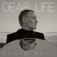 David Gray - Dear Life (Ltd Sea Weed Green Vinyl) 2LP in der Gruppe Övrigt / bei Bengans Skivbutik AB (5565976)