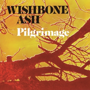 Wishbone Ash - Pilgrimage in der Gruppe CD bei Bengans Skivbutik AB (5566347)