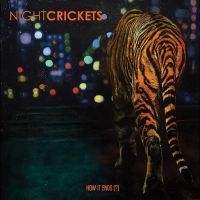 Night Crickets - How It Ends (?) in der Gruppe UNSERE TIPPS / Freitagsveröffentlichungen / Freitag den 1 November 2024 bei Bengans Skivbutik AB (5566424)