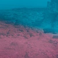 Bye Matti - Capri Clouds (Clear Vinyl) in der Gruppe UNSERE TIPPS / Freitagsveröffentlichungen / Fredag den 27:e september 2024 bei Bengans Skivbutik AB (5566529)