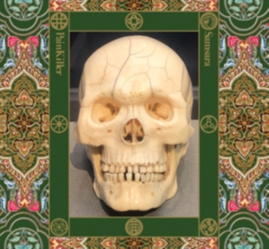 Painkiller - Samsara in der Gruppe CD bei Bengans Skivbutik AB (5566541)
