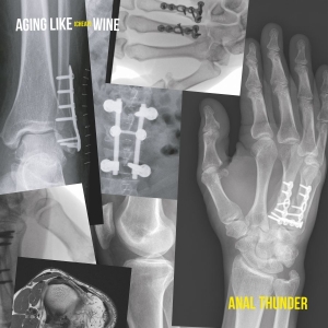 Anal Thunder - Aging Like Cheap Wine in der Gruppe UNSERE TIPPS / Freitagsveröffentlichungen / Fredag den 4:e oktober 2024 bei Bengans Skivbutik AB (5566750)
