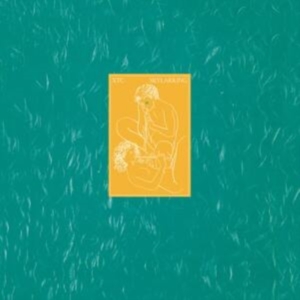 Xtc - Skylarking (2016 Steven Wilson Mix) in der Gruppe UNSERE TIPPS / Freitagsveröffentlichungen / Freitag, den 6 december 2024 bei Bengans Skivbutik AB (5566785)