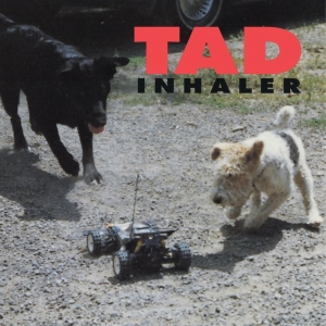 Tad - Inhaler in der Gruppe Övrigt /  bei Bengans Skivbutik AB (5567829)