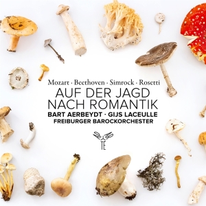 Freiburger Barockorchester & Bart Aerbeydt & Gijs Laceulle - Auf Der Jagd Nach Romantik in der Gruppe Övrigt /  bei Bengans Skivbutik AB (5568146)