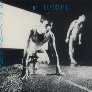 The Associates - The Affectionate Punch in der Gruppe UNSERE TIPPS / Freitagsveröffentlichungen / Freitag der 15 November 2024 bei Bengans Skivbutik AB (5568624)