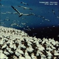 Thinking Fellers Union Local 282 - These Things Remain Unassigned in der Gruppe VINYL / Pop-Rock bei Bengans Skivbutik AB (5568967)