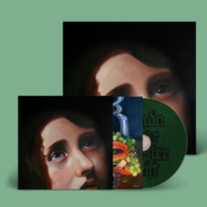 Panda Bear - Sinister Grift in der Gruppe Övrigt /  bei Bengans Skivbutik AB (5569477)