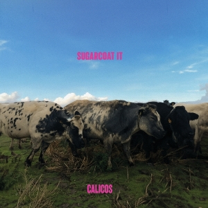 Calicos - Sugarcoat It in der Gruppe Övrigt /  bei Bengans Skivbutik AB (5570060)