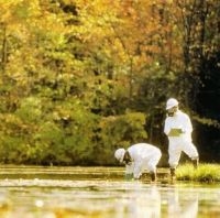 Hedningarna - Hippjokk in der Gruppe CD / Pop-Rock,Svensk Musik,World Music bei Bengans Skivbutik AB (557087)
